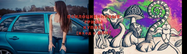 соль курить ск Ладушкин