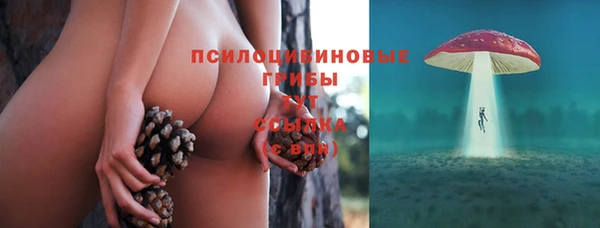 стафф Лихославль