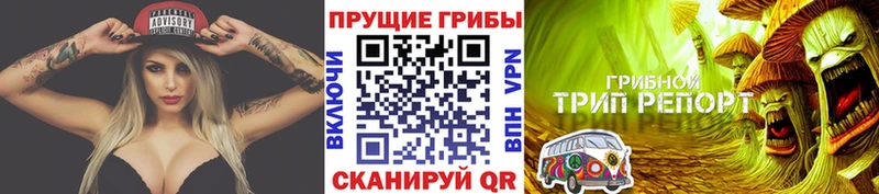 kraken как войти  Спасск-Рязанский  Галлюциногенные грибы мицелий  магазин  наркотиков 